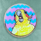Acrylic Pins