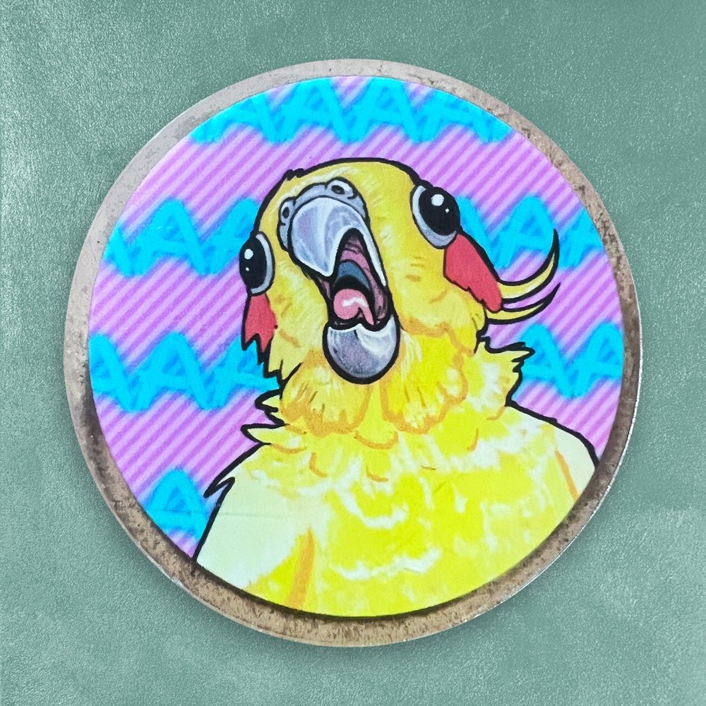 Acrylic Pins